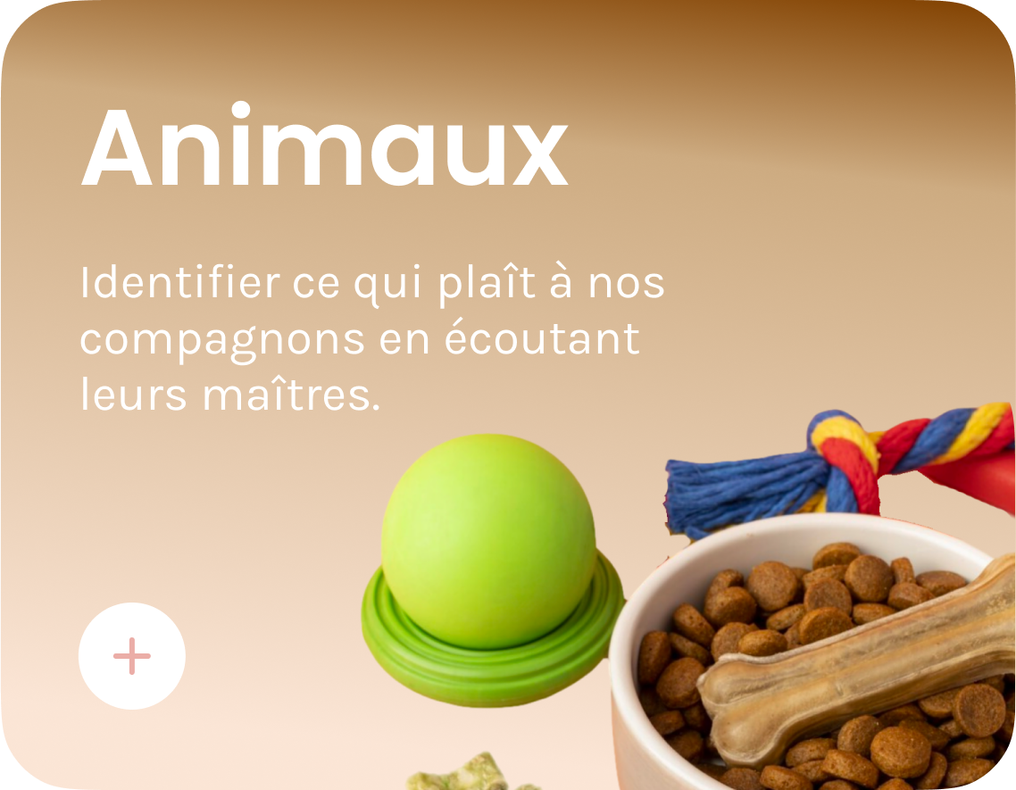 animaux